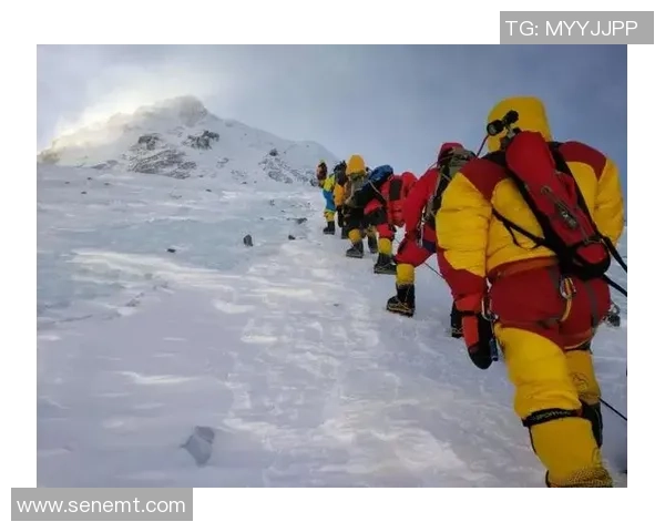 刘丽独家分享排球心得与技巧提升之路探索